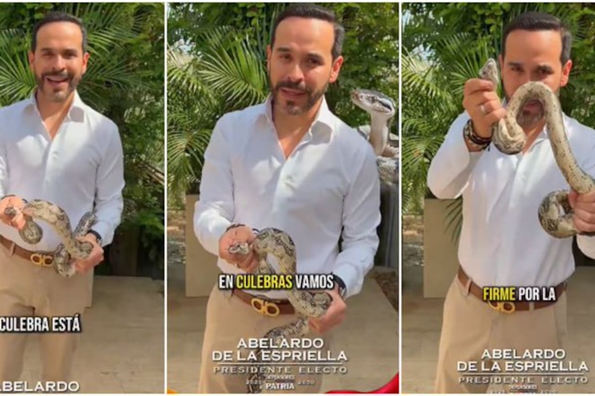 El presidente electo Abelardo De La Espriella publicó un mensaje tras encontrar una serpiente en el patio de su casa.
