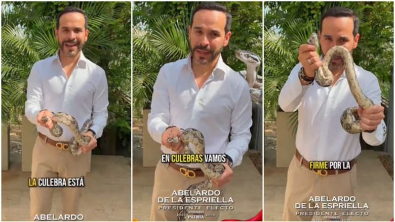 De La Espriella desata polémica con serpiente como metáfora política: “El tigre es experto en culebras”