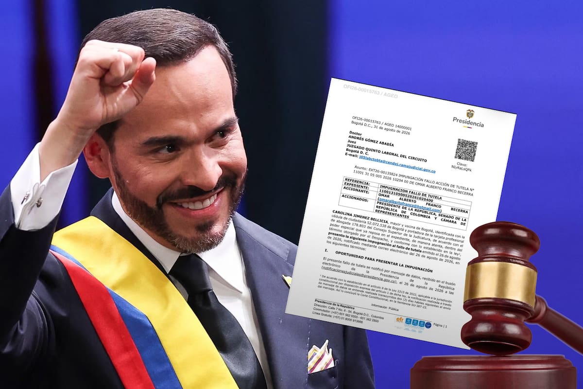 En el documento, el gobierno argumenta que se “omite distinguir la libertad de conciencia del presidente de la República”. Foto: Recreada
