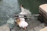 Turista cae a canal en Venecia tras seguir ruta de Google Maps: video desató burlas en redes