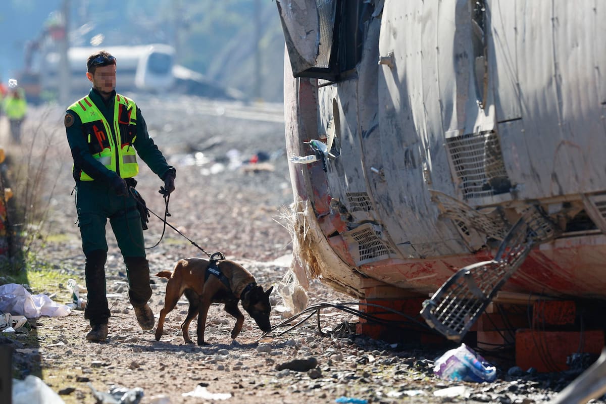 FOTODELDÍA ADAMUZ (CÓRDOBA), 20/01/2026.- Un agente de la Guardia Civil rastrea con un perro los vagones siniestrados del accidente ferroviario en Adamuz (Córdoba) del pasado domingo que ha dejado al menos hasta este martes 41 víctimas mortales. EFE/Jorge Zapata