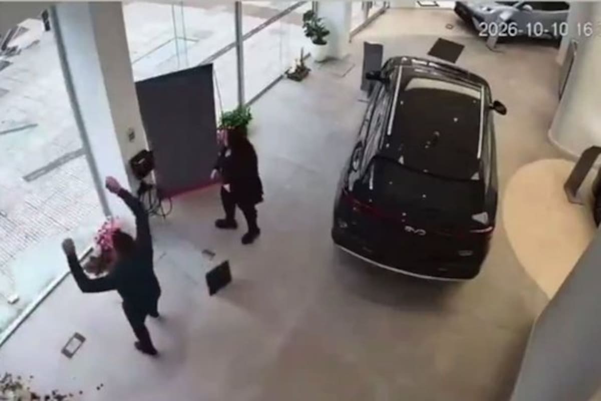 Las cámaras de seguridad registraron el momento en que el vehículo rompió los cristales del establecimiento y salió a la calle.