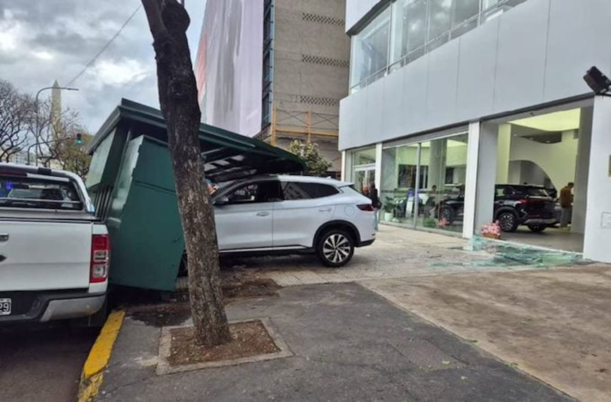 Video: fue a probar un auto eléctrico, aceleró y atravesó la vidriera de una concesionaria de Argentina.