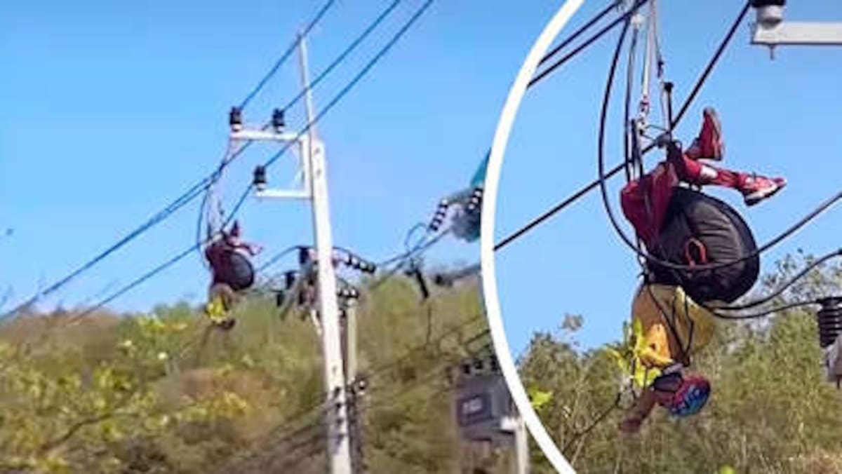 Minutos de tensión: rescatan a hombre atrapado en cables tras caída en parapente.