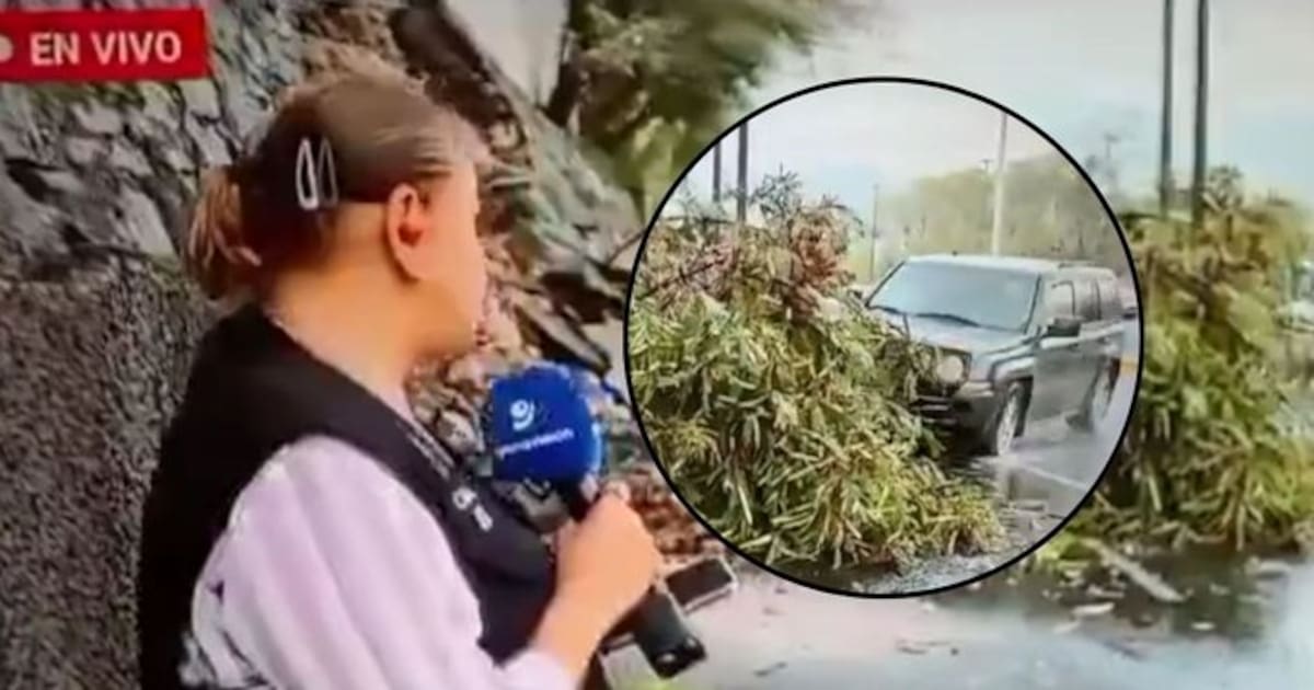 El momento del impacto quedó registrado por las cámaras del noticiero mientras los comunicadores cubrían las afectaciones causadas por las lluvias.