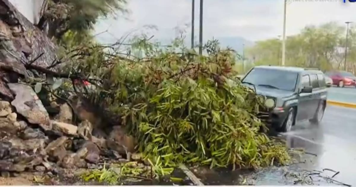 Una camioneta arrolló a una reportera y a su camarógrafo durante una transmisión en vivo en Monterrey.