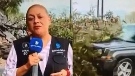 Video: periodista y camarógrafo fueron atropellados en plena transmisión en vivo