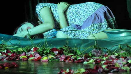 Bucaramanga se convierte en escenario: cuatro días de performance, arte y acciones en la calle