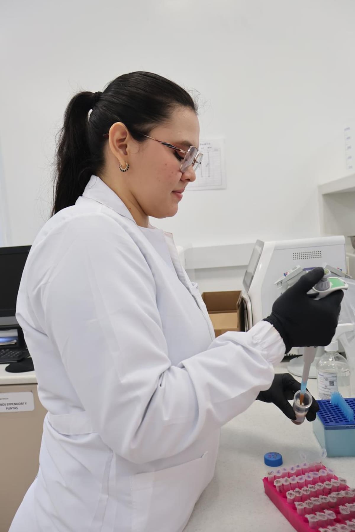 Aceite de palma: Santander, candidato a tener laboratorio de talla mundial | Cortesía Cenipalma