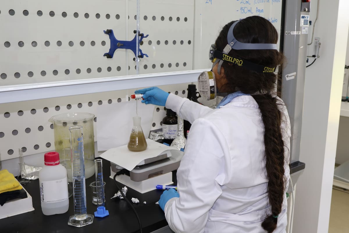 Aceite de palma: Santander, candidato a tener laboratorio de talla mundial | Cortesía Cenipalma