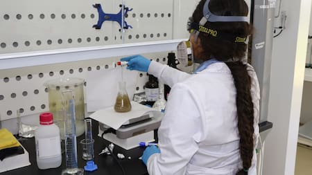 Aceite de palma: Santander, candidato a tener laboratorio de talla mundial