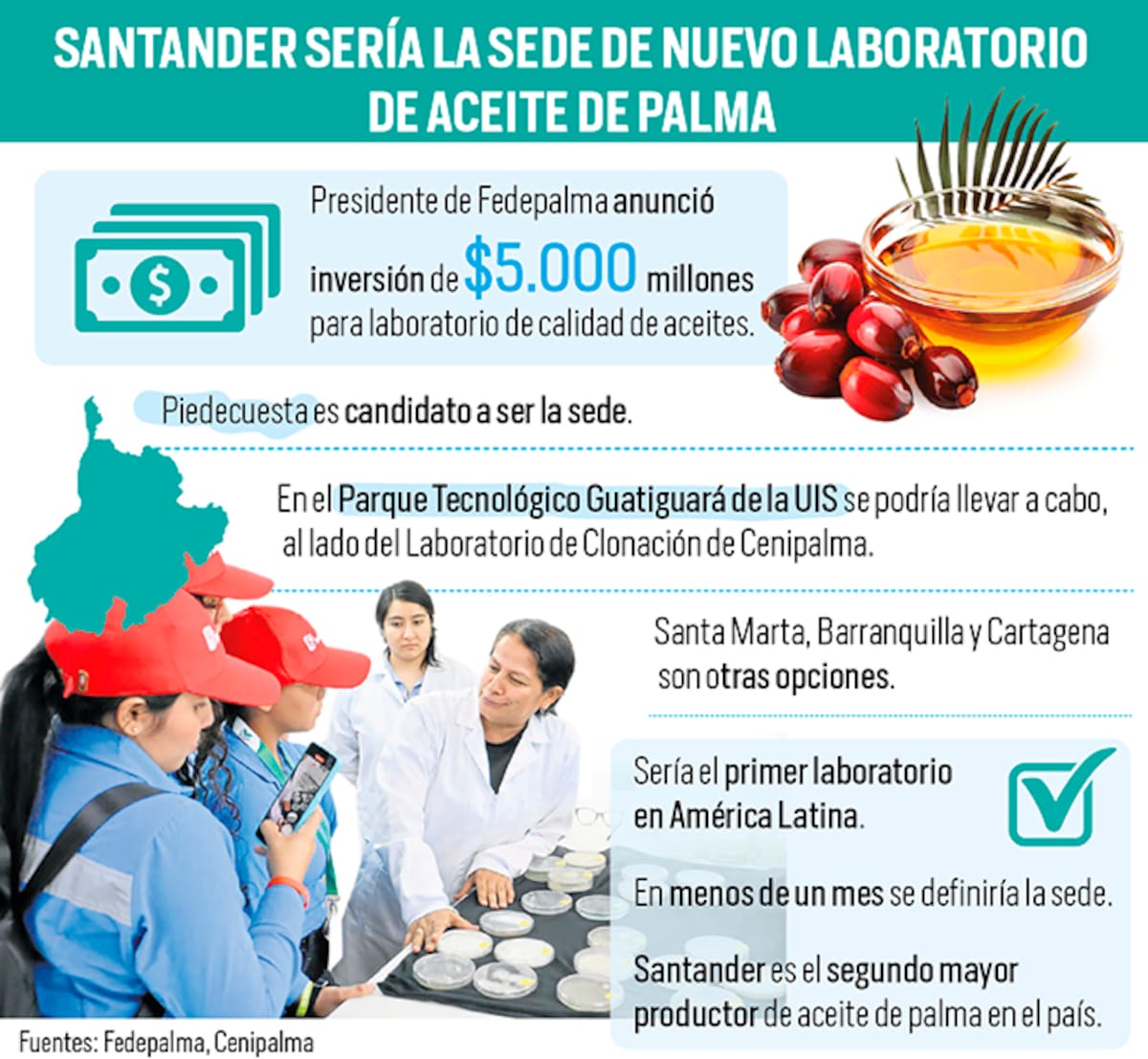 Aceite de palma: Santander, candidato a tener laboratorio de talla mundial | Gráfico Nelson Caviedes