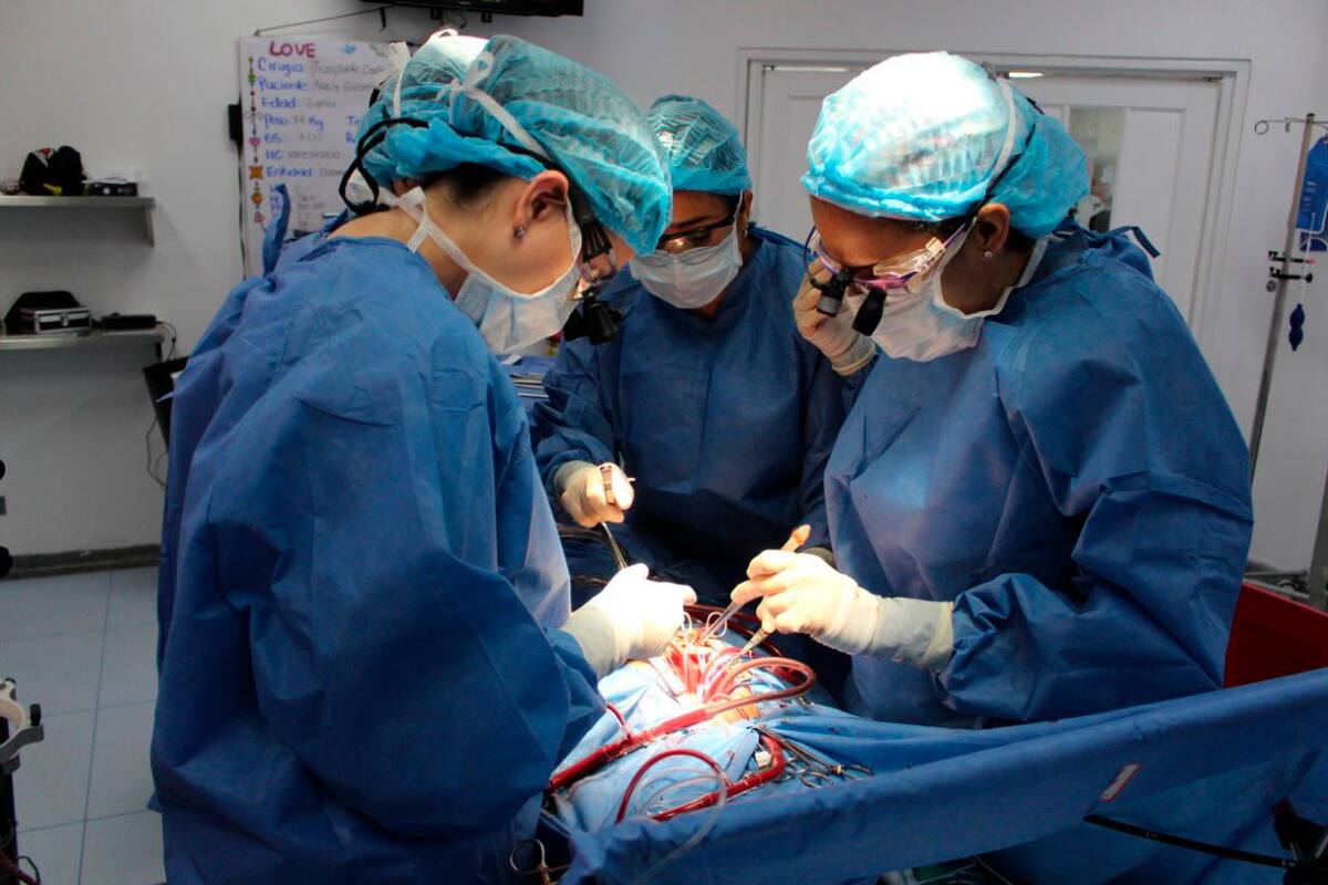 Este centro clínico fue el primero en Colombia en recibir este reconocimiento en 2009. (Foto: Suministrada FCV / VANGUARDIA)