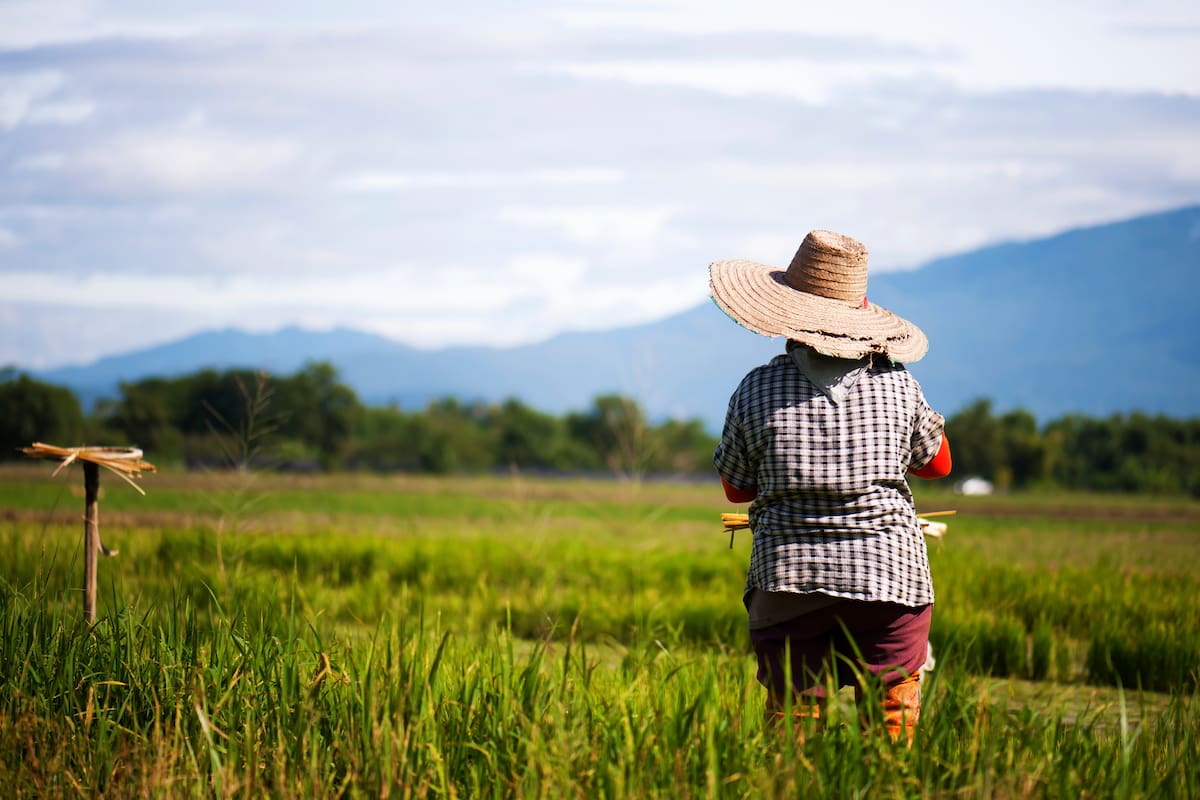 Mujeres campesinas protagonistas de la reforma rural // 123rf.