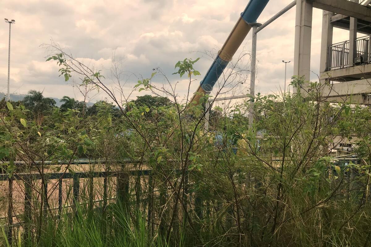 La maleza terminó devorándose buena parte de las instalaciones de Acualago. (Foto: Jaime Del Río Quiroga / VANGUARDIA)