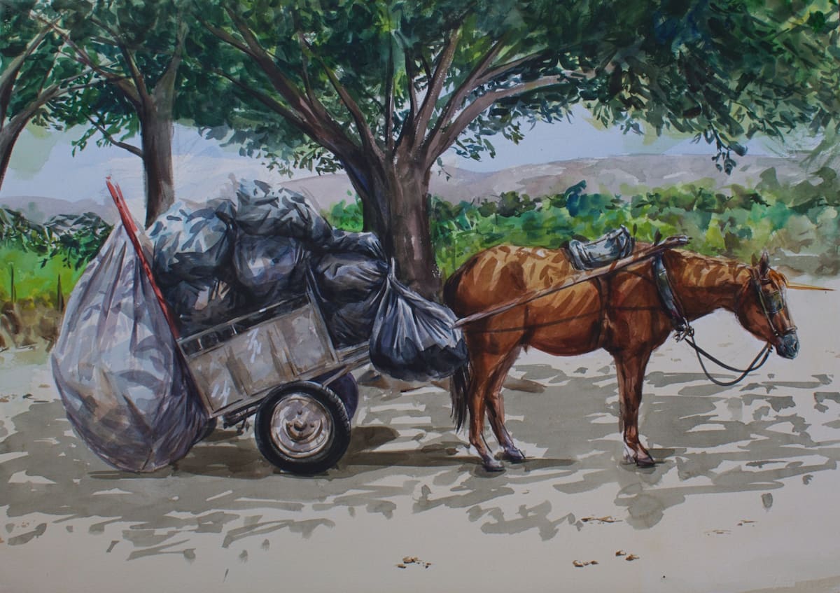 La acuarela toma las calles de Bucaramanga: artistas crearán en vivo durante tres días