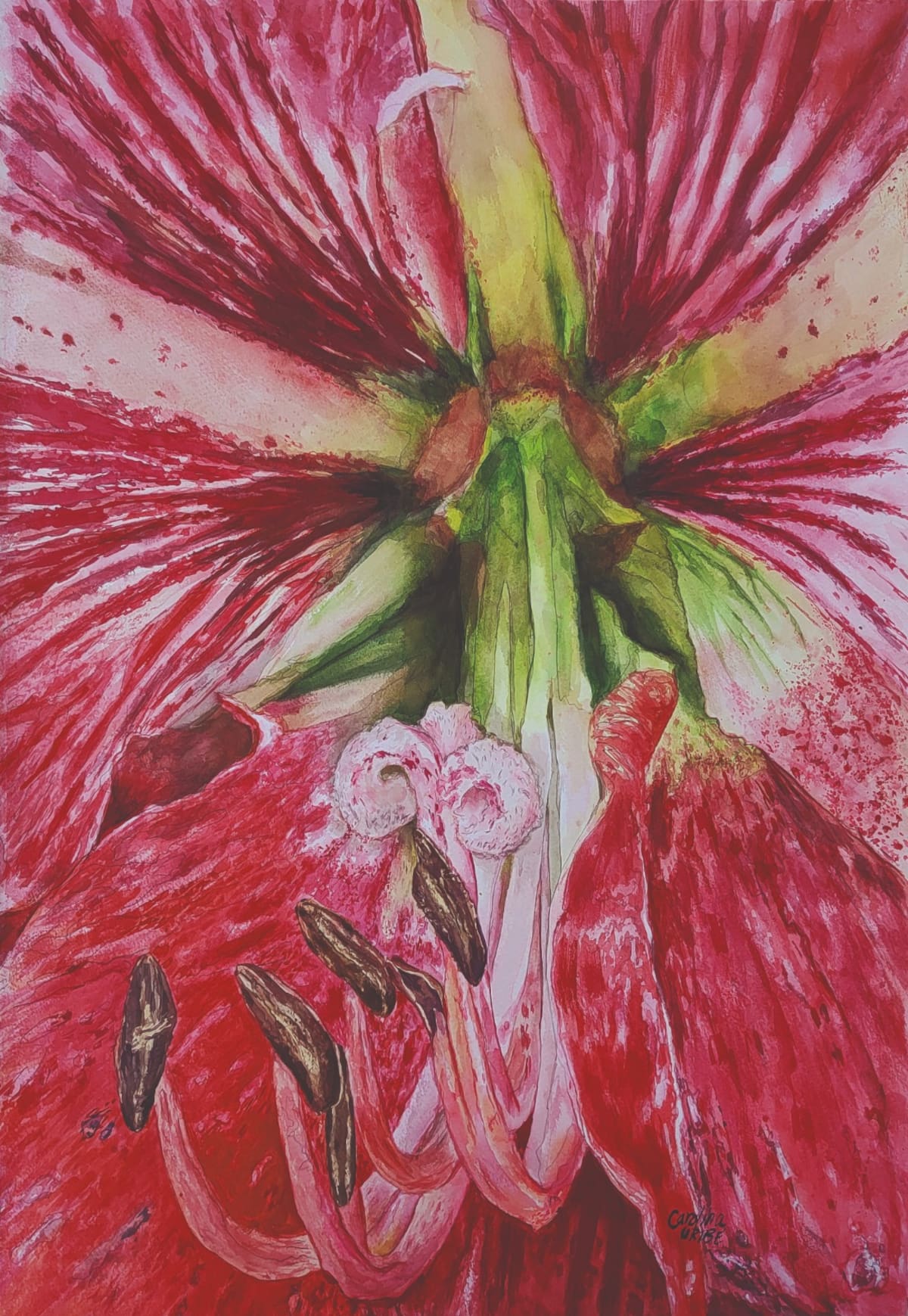 Cuando la acuarela se une a las flores: el evento que reunirá a artistas de todo el país en Bucaramanga