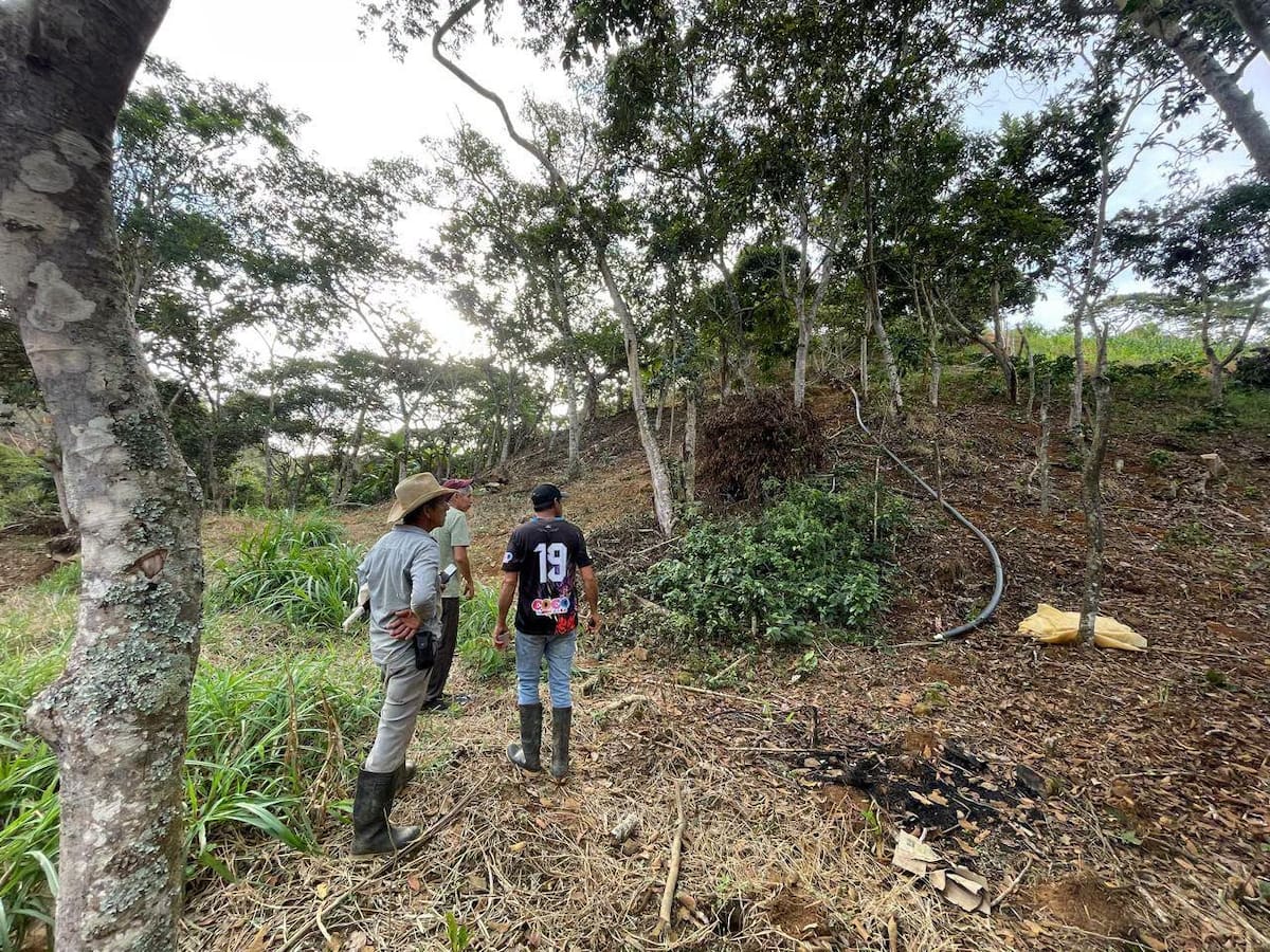 La creación del reservorio habría generado la afectación de la franja protectora de la quebrada Canta Rana.