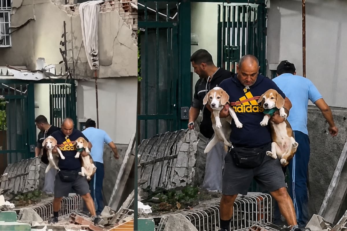 En medio de los escombros y la emergencia, un adulto mayor puso a salvo a sus dos perros, una imagen que conmovió a miles de personas. Foto: Captura de video / Redes sociales.