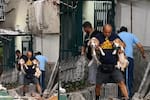 Abuelo se negó a abandonar a sus dos perritos y los cargó durante el terremoto en Venezuela