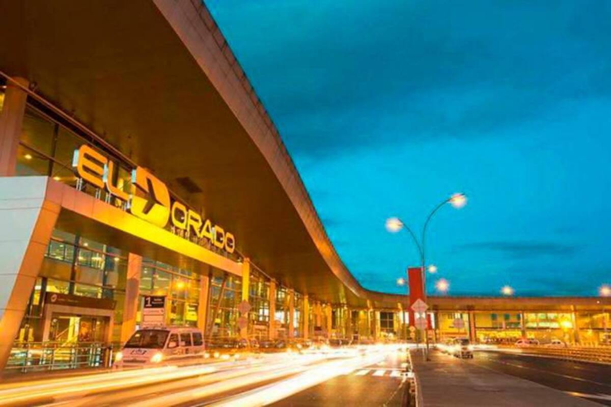 Decomisan en Bogotá 400 ranas venenosas que serían enviadas a Alemania. (Foto: Colprensa / VANGUARDIA)