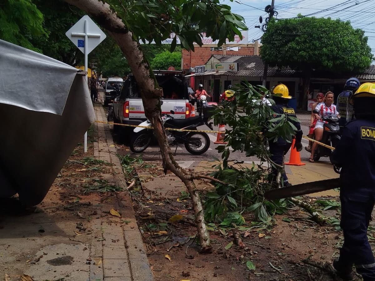 Organismos de socorro y personal de Gestión de Riesgos atendieron las emergencias ocasionadas por las fuertes lluvias en varios sectores de Barrancabermeja.
Suministrada/Vanguardia
