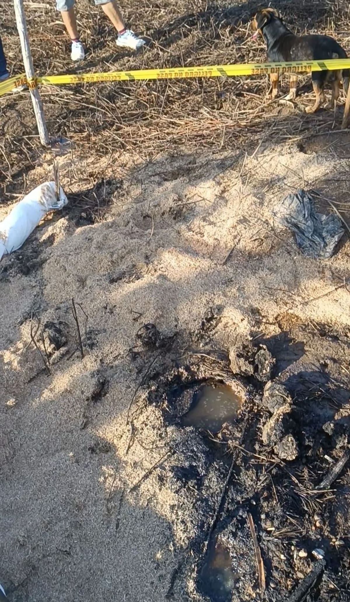 El afloramiento de crudo fue hallado en un predio privado, ubicado en la vereda la Vizcaína en jurisdicción de San Vicente de Chucurí.
Suministrada/Vanguardia