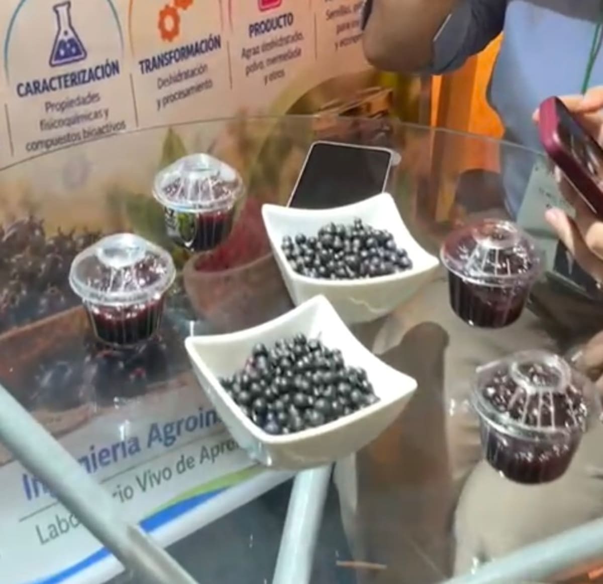 Mediante AGRAZ – PÁRAMO 360°, investigadores y estudiantes exploran procesos de transformación agroindustrial y economía circular para dar valor a este fruto nativo, bajo criterios de sostenibilidad y protección ambiental.