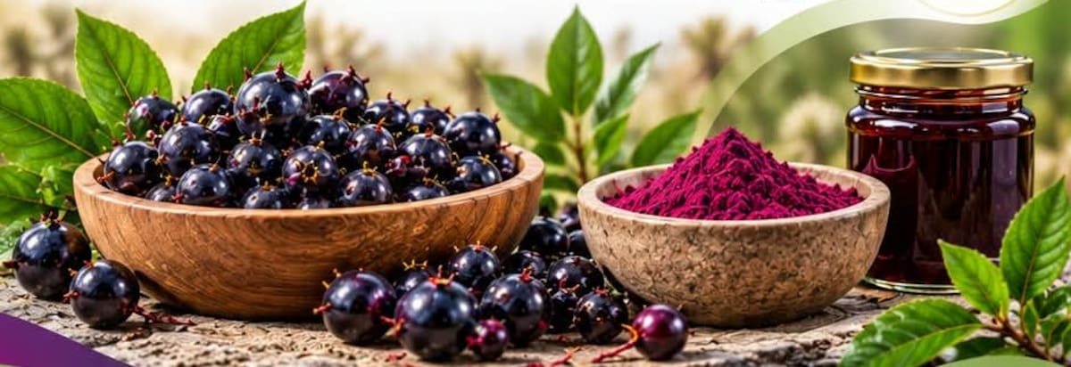 La iniciativa AGRAZ – PÁRAMO 360° estudia alternativas para transformar este fruto nativo, desarrollar prototipos y explorar nuevos usos para los residuos agroindustriales, con miras a generar oportunidades sostenibles en los territorios.