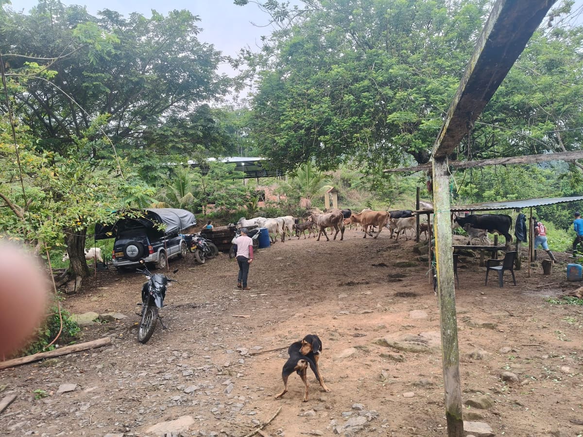 Las grietas obligaron a las personas a salir de sus casas en zona rural de Landázuri.