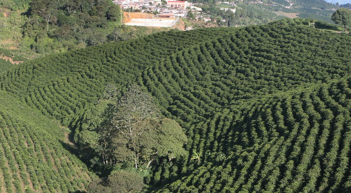 Frente al avance de la degradación de los suelos y al impacto creciente del cambio climático sobre la producción agrícola, comunidades campesinas de Santander están apostando por prácticas agroecológicas que regeneran los ecosistemas y fortalecen la seguridad alimentaria.