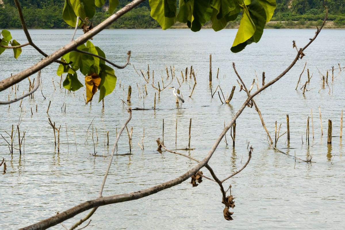 El Niño avanza y Santander se reúne este miércoles para hablar del futuro del agua.