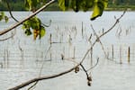 Bucaramanga será sede de un encuentro regional para debatir el futuro del agua en Santander