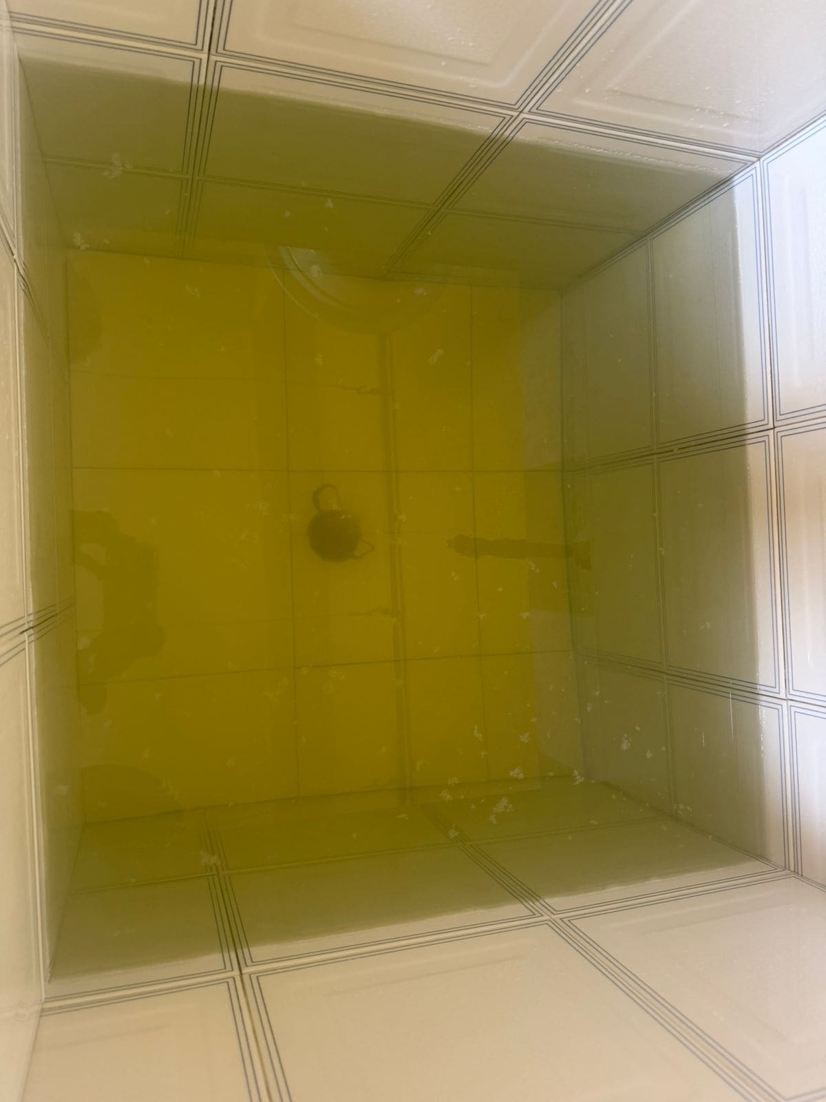 La comunidad se queja por agua llega con un color oscuro y olores.