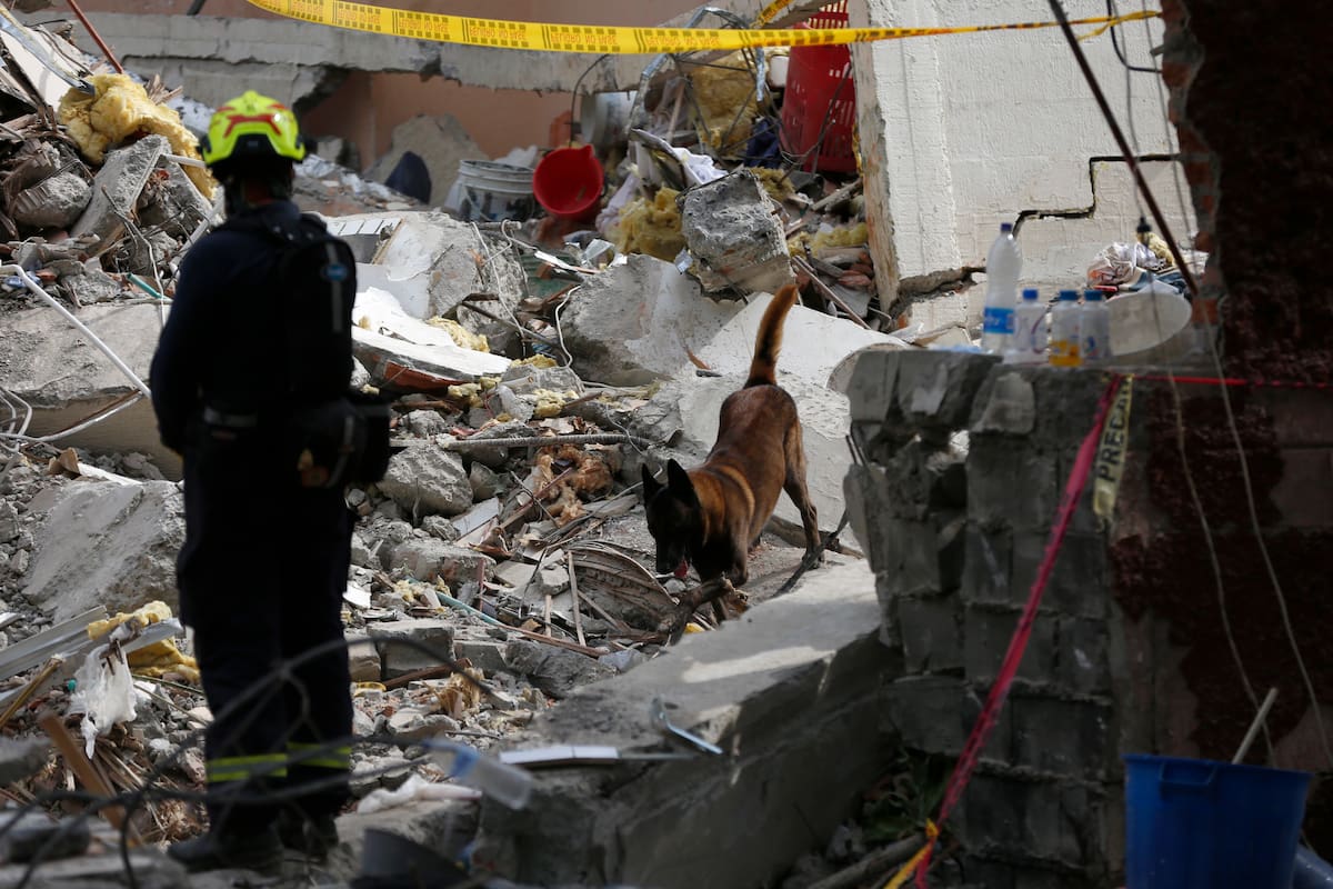 Un perro de rescate trabaja en una jornada de búsqueda en una zona afectada por el terremoto este miércoles, en Cali (Colombia). Al menos 239 personas perdieron la vida y 3.755 sufrieron heridas por el terremoto de magnitud 7,4 que sacudió a Colombia el lunes, según datos divulgados este miércoles por la Unidad Nacional para la Gestión del Riesgo de Desastres (UNGRD). EFE/ Ernesto Guzmán Jr