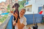 Albergue pide ayuda para seguir cuidando a perros y gatos rescatados en Bucaramanga