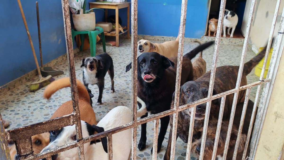Foto: Marco Valencia