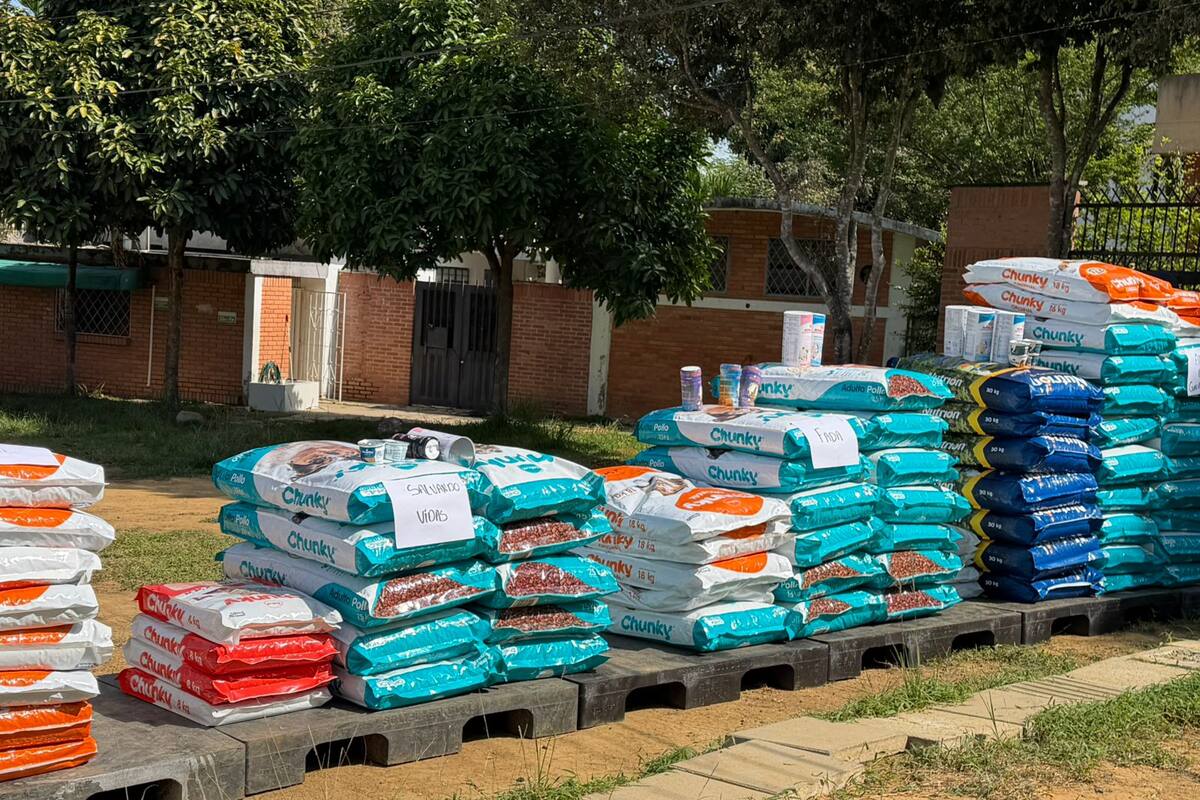 La Unidad de Bienestar Animal de Bucaramanga entregó más de 300 bultos de concentrado a seis fundaciones de protección animal Foto: Alcaldía de Bucaramanga.