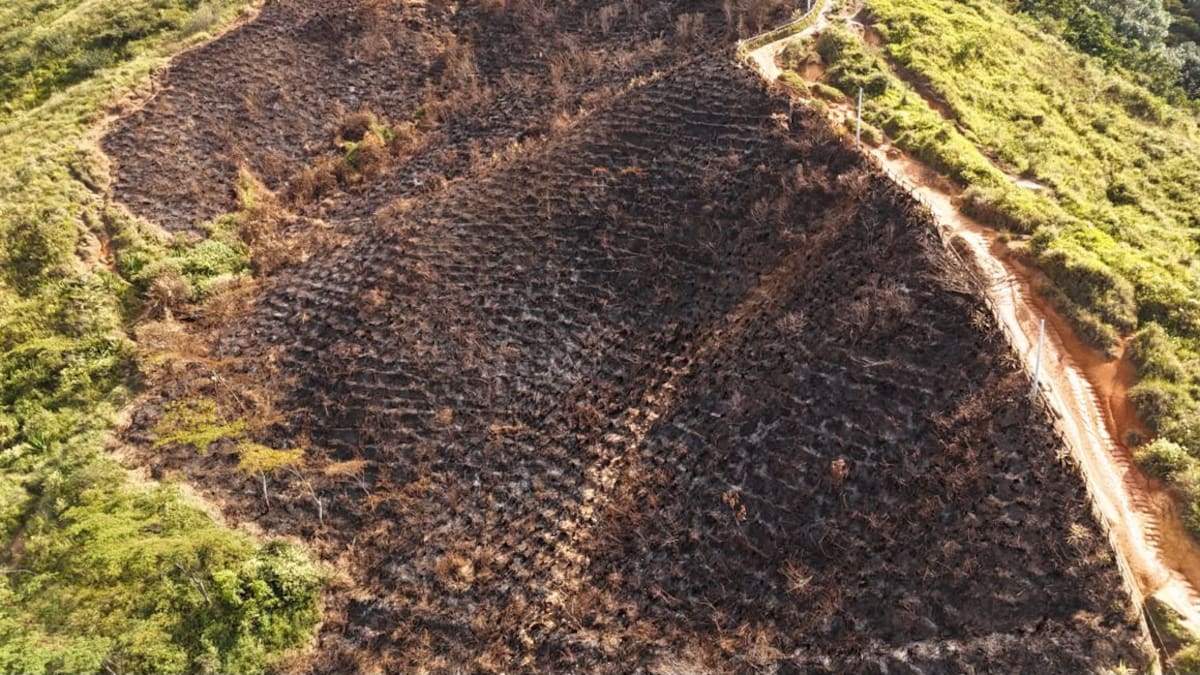 Los incendios forestales representan un riesgo para los habitantes, los cuerpos de emergencia y las zonas verdes de Medellín. Fotos tomadas de: X.