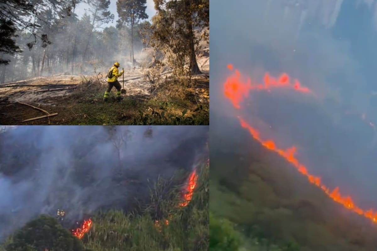 Los incendios forestales han generado 53 emergencias atendidas por los bomberos de Medellín durante el último mes. Capturas de videos // Fotos tomada de: X.