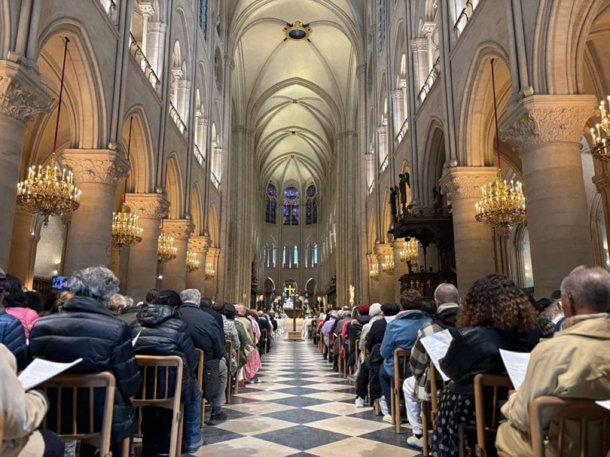 Alerta en Notre-Dame: Policía francesa activa operativo por amenaza de atentado. Foto: Redes Sociales