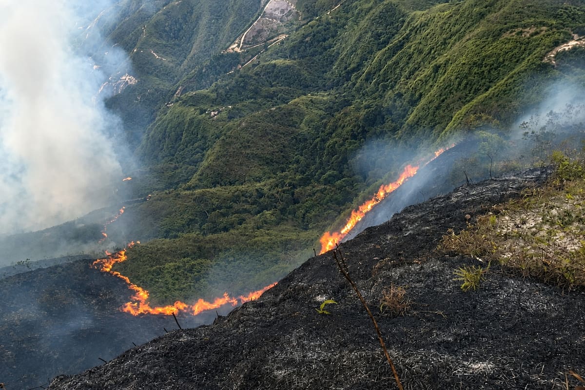 Alerta por incendio forestal en Mogotes, Santander: las llamas llevan más de un día