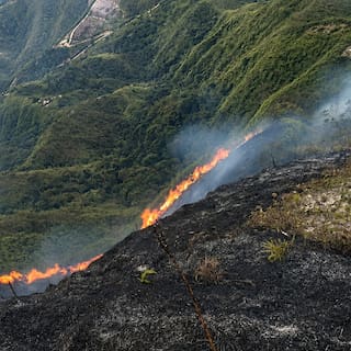 Alerta por incendio forestal en Mogotes, Santander: las llamas llevan más de un día