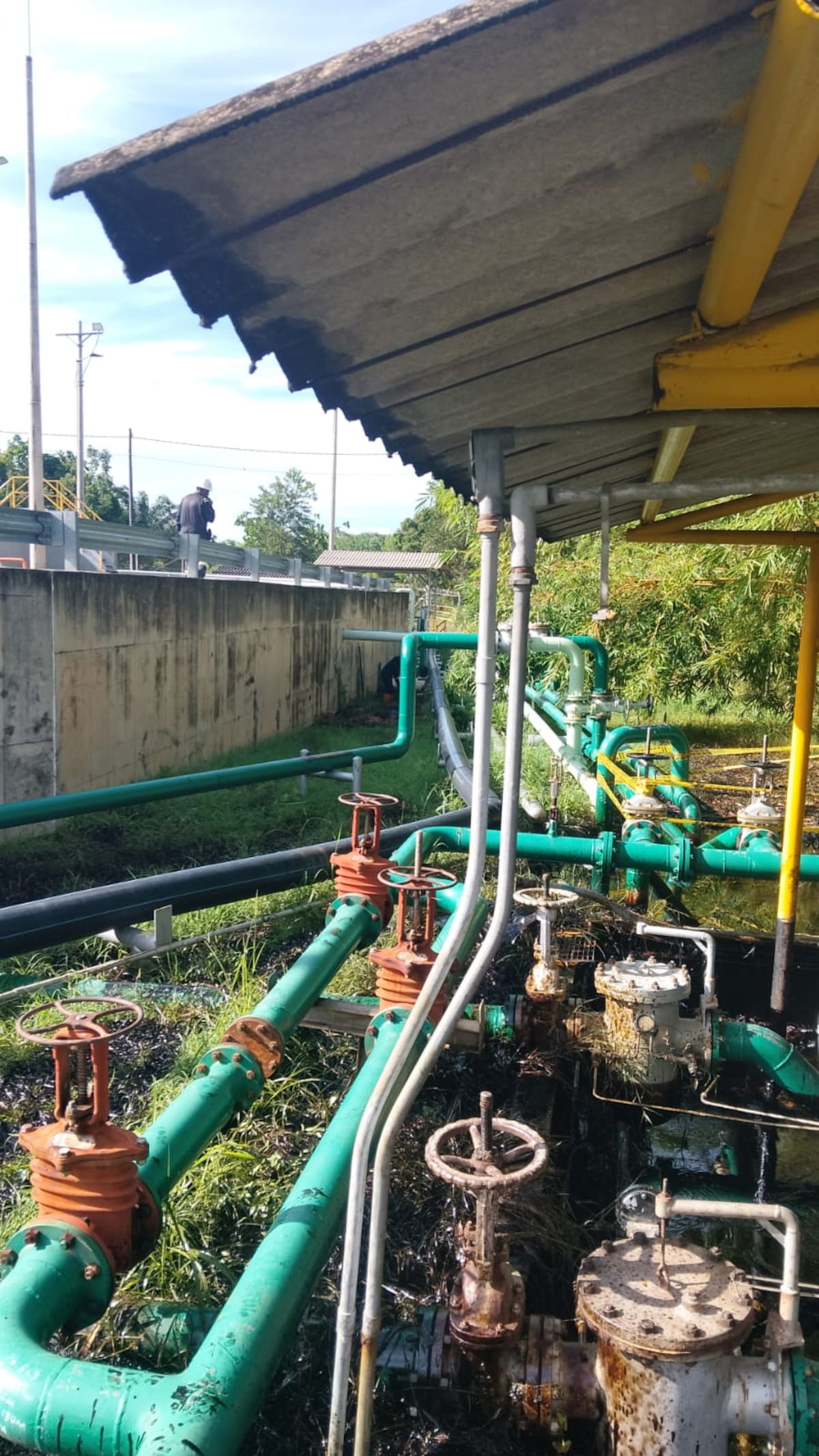 Alerta por nueva contaminación con hidrocarburos en la ciénaga El Llanito, en Barrancabermeja. Foto suministrada/VANGUARDIA