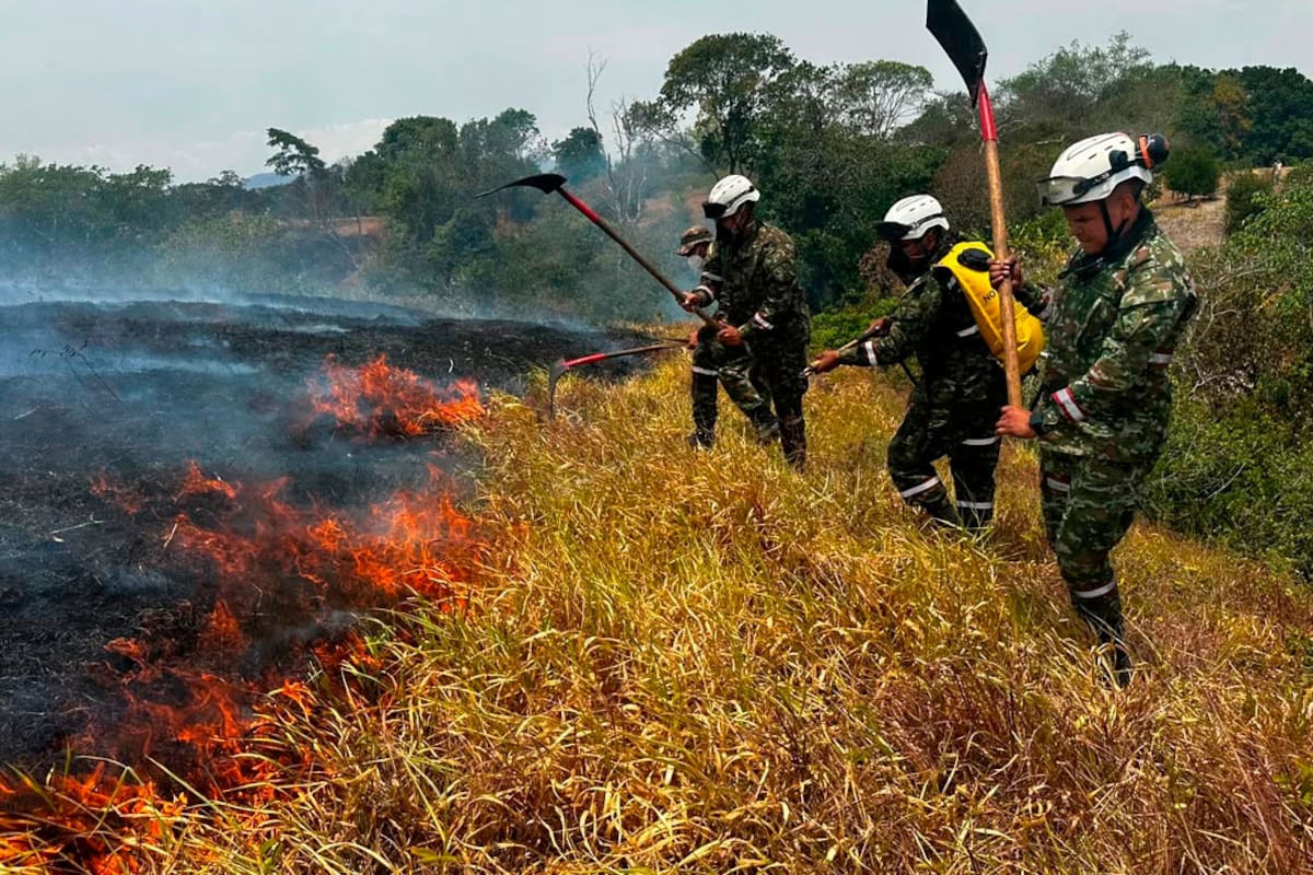 Fotografía del 23 de agosto de 2026 cedida por la Presidencia de Colombia que muestra a soldados extinguiendo un incendio en Tolima (Colombia). Las autoridades colombianas advirtieron que algunos de los incendios forestales que afectan al país y ya han consumido más de 20.000 hectáreas son provocados deliberadamente, en una situación de sequía por el fenómeno de El Niño que aumenta el riesgo de propagación de las llamas. EFE/ Presidencia de Colombia /SOLO USO EDITORIAL/NO VENTAS/ SOLO DISPONIBLE PARA ILUSTRAR LA NOTICIA QUE ACOMPAÑA (CRÉDITO OBLIGATORIO)