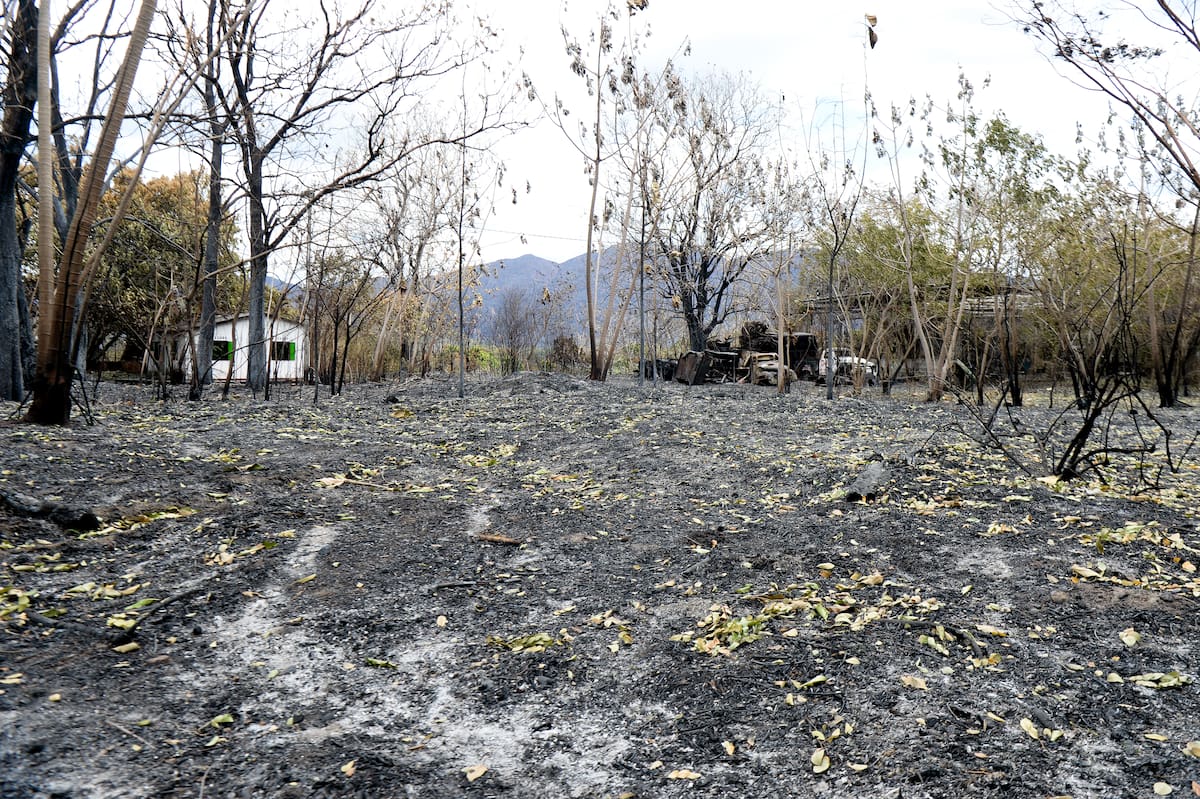 Fotografía del 23 de agosto de 2026 de una casa en un terreno rural afectada por uno de los incendios forestales, en Coello departamento del Tolima (Colombia). EFE/ Vannessa Jiménez