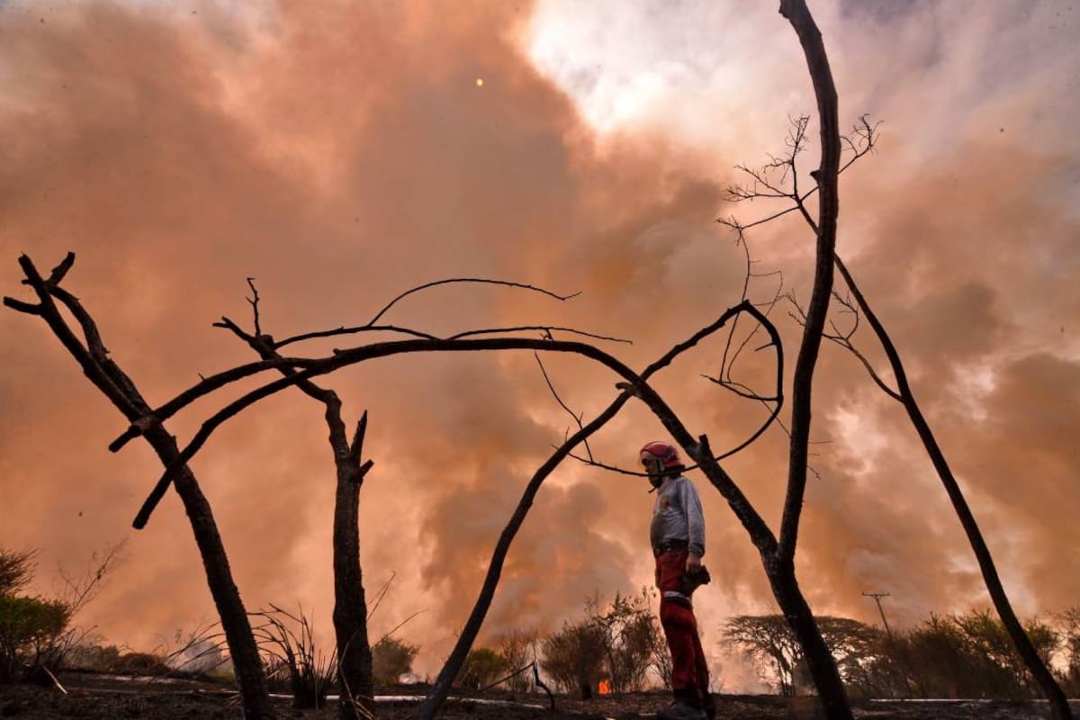 Los departamentos en alerta roja por incendios forestales son: Atlántico, Bolívar, La Guajira, Boyacá, Cauca, Cundinamarca, Huila, Nariño, Norte de Santander, Quindio, Tolima, Valle y Meta. (Foto: COLPRENSA/VANGUARDIA LIBERAL)