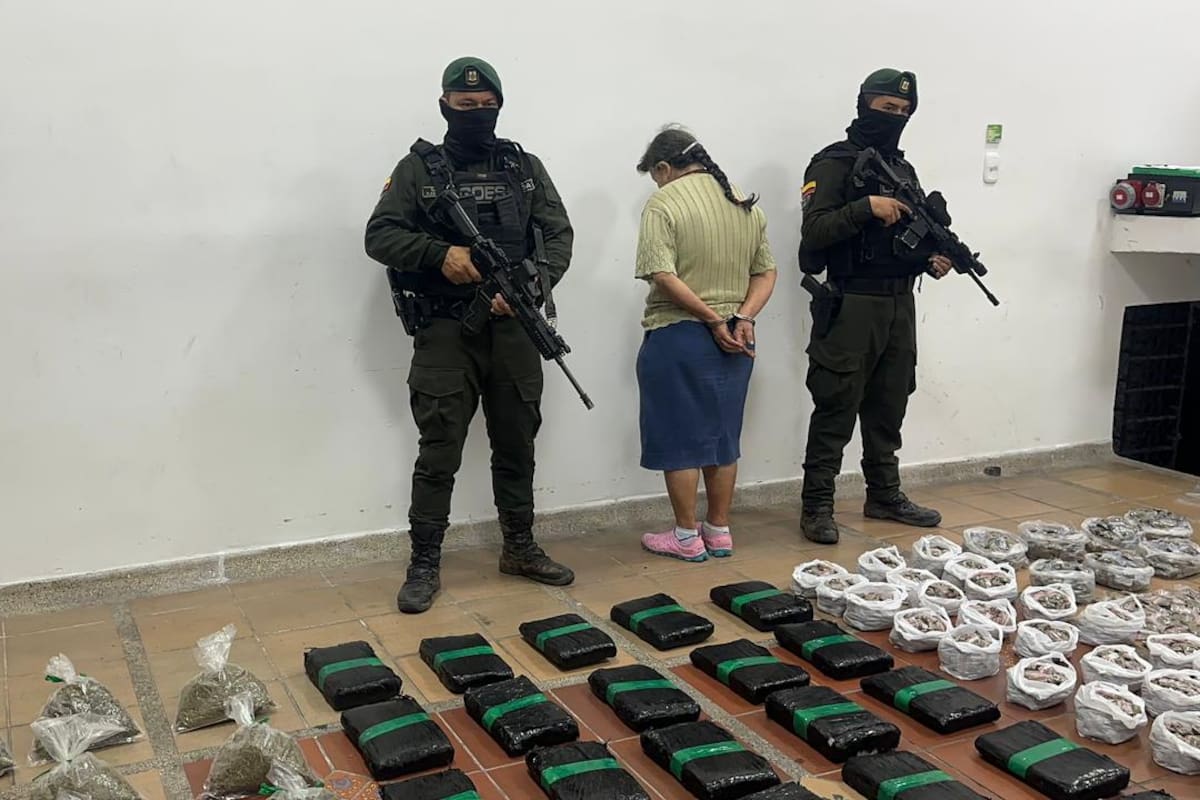 Alias ‘La Abuela’ escondía más de 10.000 dosis de marihuana en zona boscosa de Bucaramanga