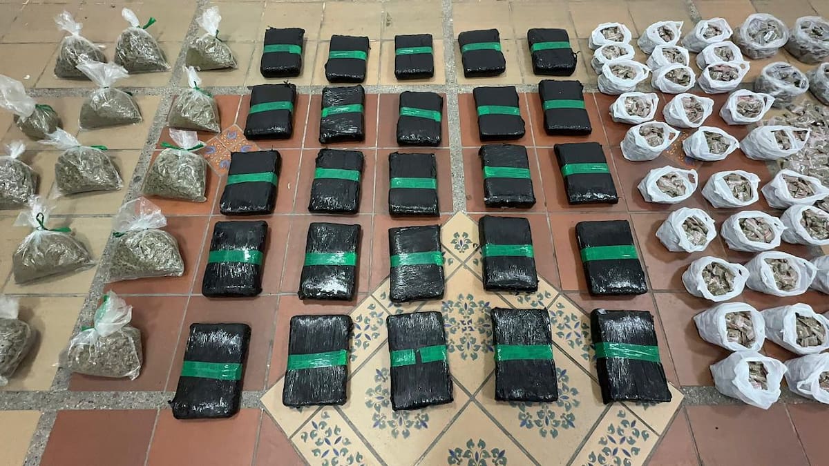 Alias ‘La Abuela’ escondía más de 10.000 dosis de marihuana en zona boscosa de Bucaramanga