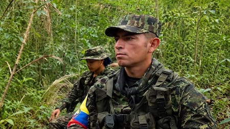 Golpe a disidencias y Clan del Golfo deja seis muertos en Meta y Antioquia